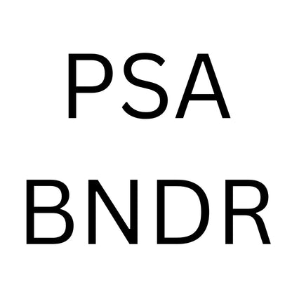 PSA SLAB Binder - 10PK