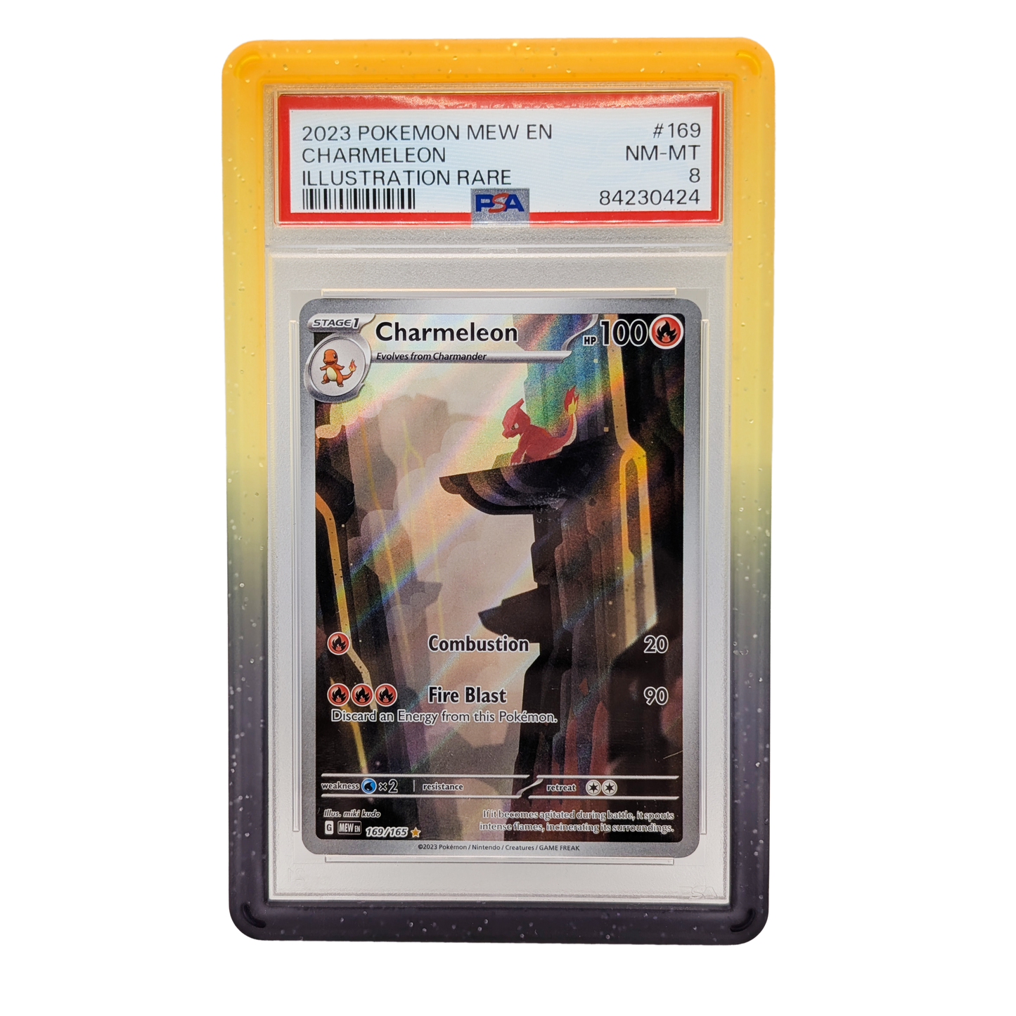 Gradient Slab Bumpers - PSA - 5PK